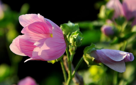 579742 (a): :2560x1600